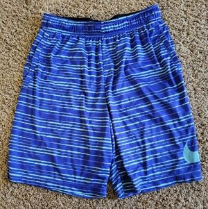 Nike Blue Striped Athletic Shorts